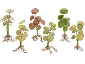 wholesale caladium plants artificial roots