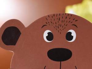wholesale teddy bear favor box