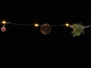 cables de luz para guirnaldas al por mayor