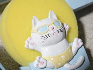 Wholesale cat sponge holder
