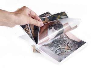 Boîtes à photos pour chats en gros