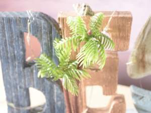 Wholesale furniture showcases sea written