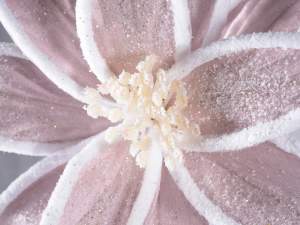 Flor de Pascua rosa al por mayor