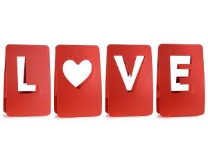 Wholesale valentine's day flower pack