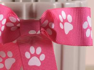 Wholesale paws grosgrain ribbon