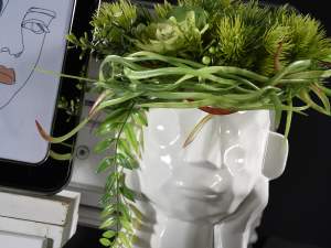 Wholesale face plant pots
