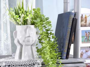 Wholesale face plant pots