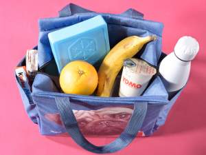 Wholesale lunch bag cooler bag animals dogs