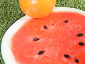 Wholesale under ceramic fruit box