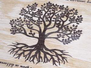 Wholesalers of household items kitchen boxes