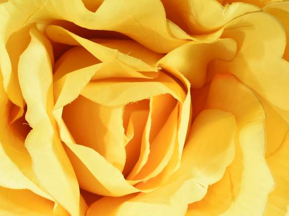Giant yellow fabric rose without stem with rear hook