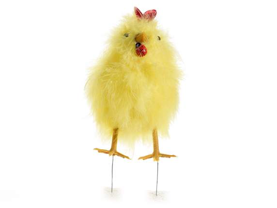 Poule en vraies plumes à poser avec coccinelle