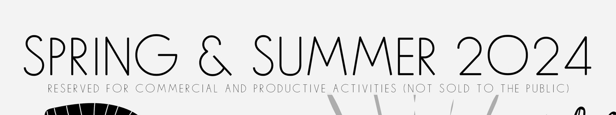 2024 BGM Spring Summer