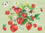 Fragole
