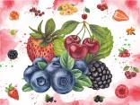 Fructe ro?ii