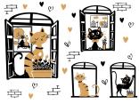 Pretty Cat