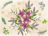 The world of herbs
