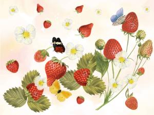 Fragole