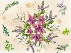 The world of herbs