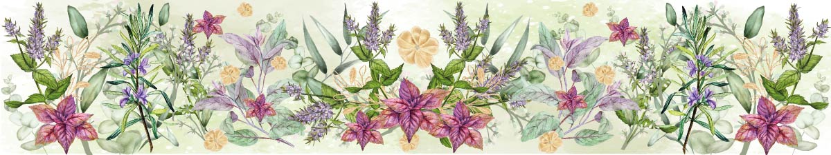 The world of herbs