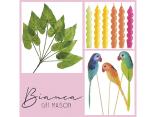 Summer shop window furnishings: passion for colour