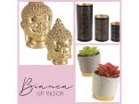 Vases and items to furnish your shop
