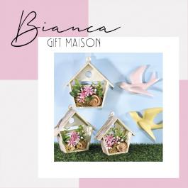Ideas for setting up spring shop windows and garde