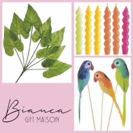 Summer shop window furnishings: passion for colour