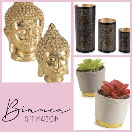 Vases and items to furnish your shop