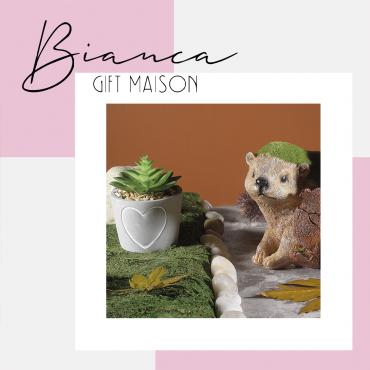 vente en gros jardin et véranda